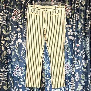 Anthropologie The Essential Slim Striped Trouser Pant Size 8